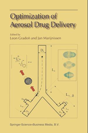 Optimization of Aerosol Drug Delivery