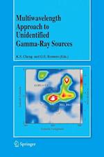 Multiwavelength Approach to Unidentified Gamma-Ray Sources