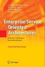 Enterprise Service Oriented Architectures