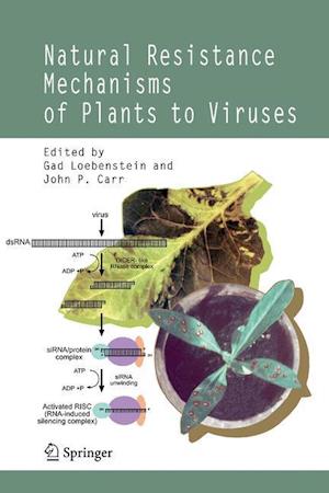 Natural Resistance Mechanisms of Plants to Viruses