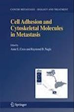 Cell Adhesion and Cytoskeletal Molecules in Metastasis