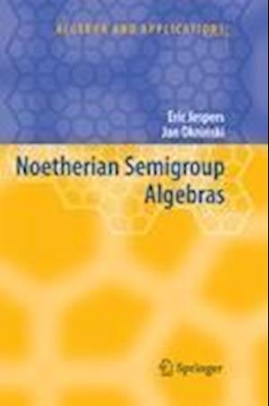 Noetherian Semigroup Algebras