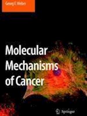 Molecular Mechanisms of Cancer