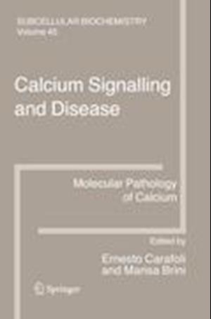 Calcium Signalling and Disease