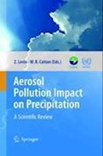 Aerosol Pollution Impact on Precipitation