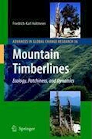 Mountain Timberlines