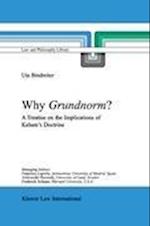 Why Grundnorm?
