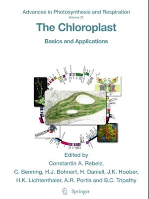 Chloroplast