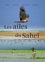 Les Ailes Du Sahel