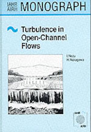 Turbulence in Open Channel Flows