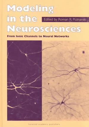 Modeling in the Neurosciences