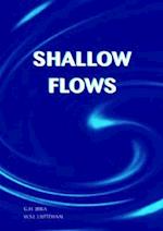 Shallow Flows