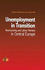 Unemployment in Transition