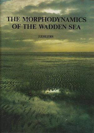 The Morphodynamics of the Wadden Sea