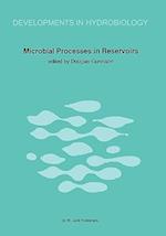Microbial Processes in Reservoirs