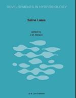 Saline Lakes III