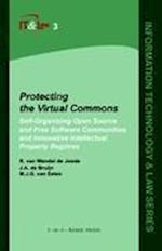 Protecting the Virtual Commons
