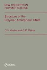 Structure of the Polymer Amorphous State