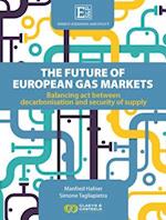 Energy Scenarios and Policy, Volume I: The future of European Gas Markets