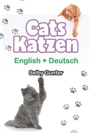 Cats Katzen