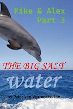 The Big Salt Water