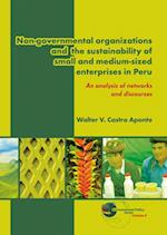 Non-Governmental Organizations and the Sustainability of Small and Medium-Sized Enterprises in Peru