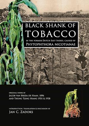 Black shank of tobacco in the former Dutch East Indies, caused by Phytophthora nicotianae