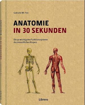 Anatomie in 30 Sekunden