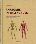 Anatomie in 30 Sekunden