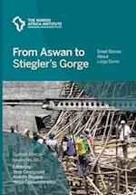 From Aswan to Stiegler's Gorge: Small stories about large dams 