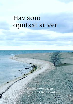 Hav som oputsat silver