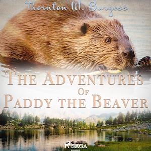 The Adventures of Paddy the Beaver