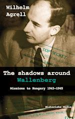 The shadows around Wallenberg