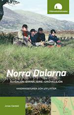 Norra Dalarna : Älvdalen-Särna-Idre-Grövelsjön : vandringsturer och utflykter