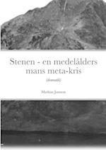 Stenen - en medelålders mans meta-kris