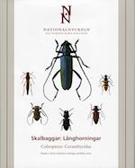 Skalbaggar - Långhorningar Coleoptera Cerambycidae klotband