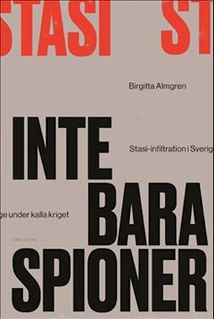 Inte bara spioner : Stasi-infiltration i Sverige under kalla kriget  (2. uppl.)