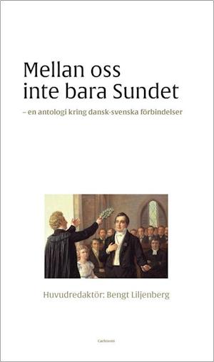 Mellan oss inte bara sundet : dansk-svenska litterära förbindelser