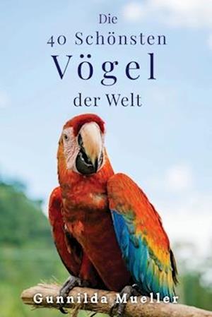 Die 40 Schönsten Vögel der Welt Bilderbuch