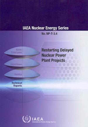 Restarting Delayed Nuclear Power Plant Projects