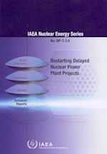Restarting Delayed Nuclear Power Plant Projects