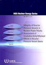 Integrity of Reactor Pressure Vessels in Nuclear Power Plants