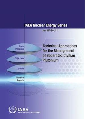 Technical Approaches for the Management of Separated Civiliian Plutonium