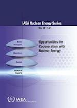 Opportunities for Cogeneration with Nuclear Energy