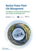 Nuclear Power Plant Life Management