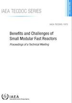 Benefits and Challenges of Small Modular Fast Reactors