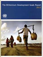 The Millennium Development Goals Report 2013