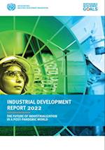 Industrial development report 2022