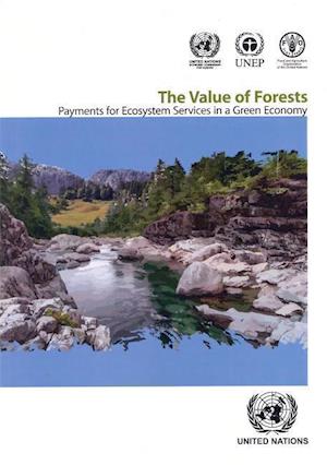 The Value of Forests