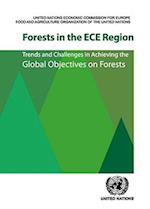 Forests in the Ece Region